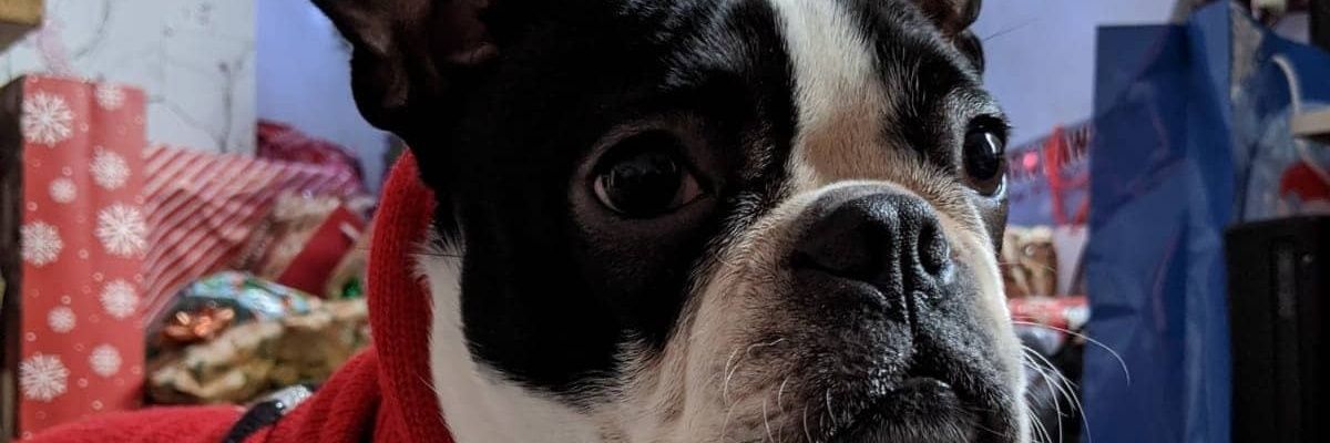 aryan86's profile banner image