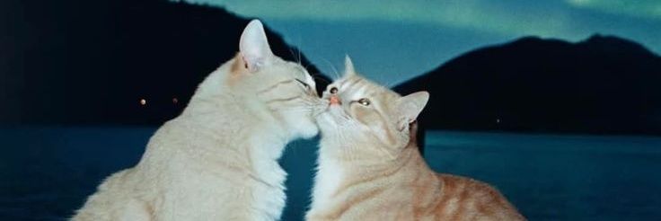 Mariagmf_'s profile banner image