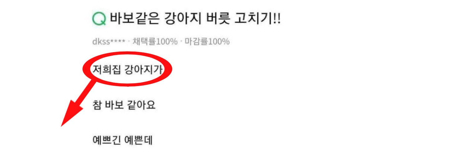 개횬이 banner