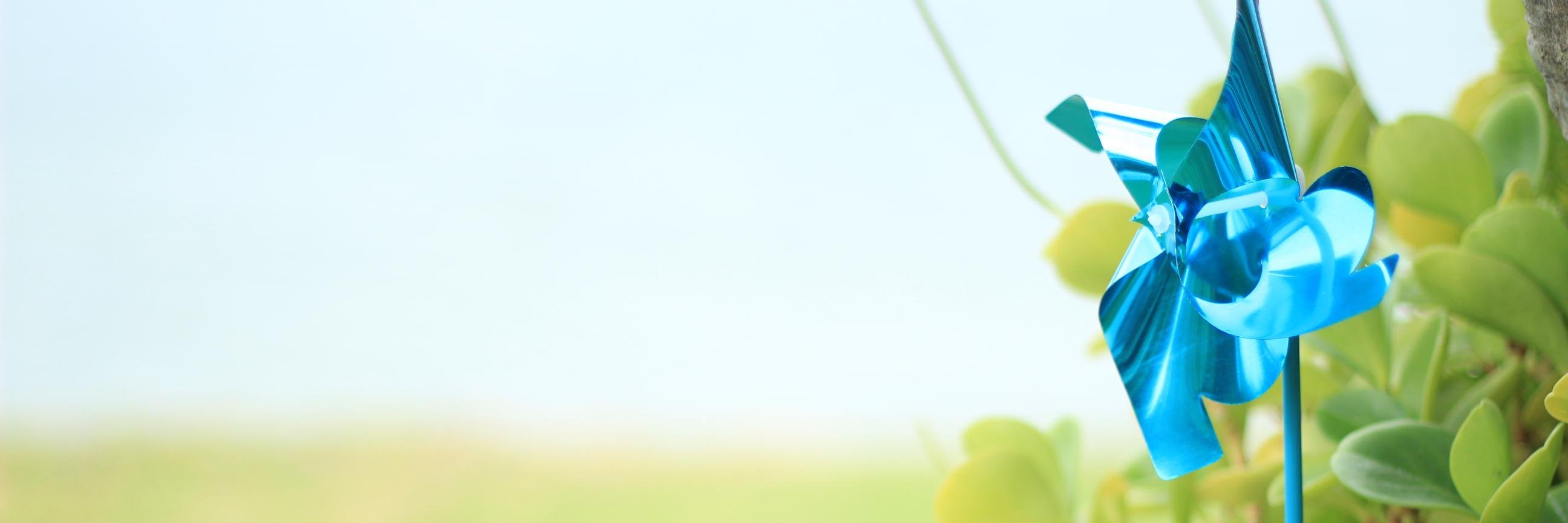 isabelasoares's profile banner image