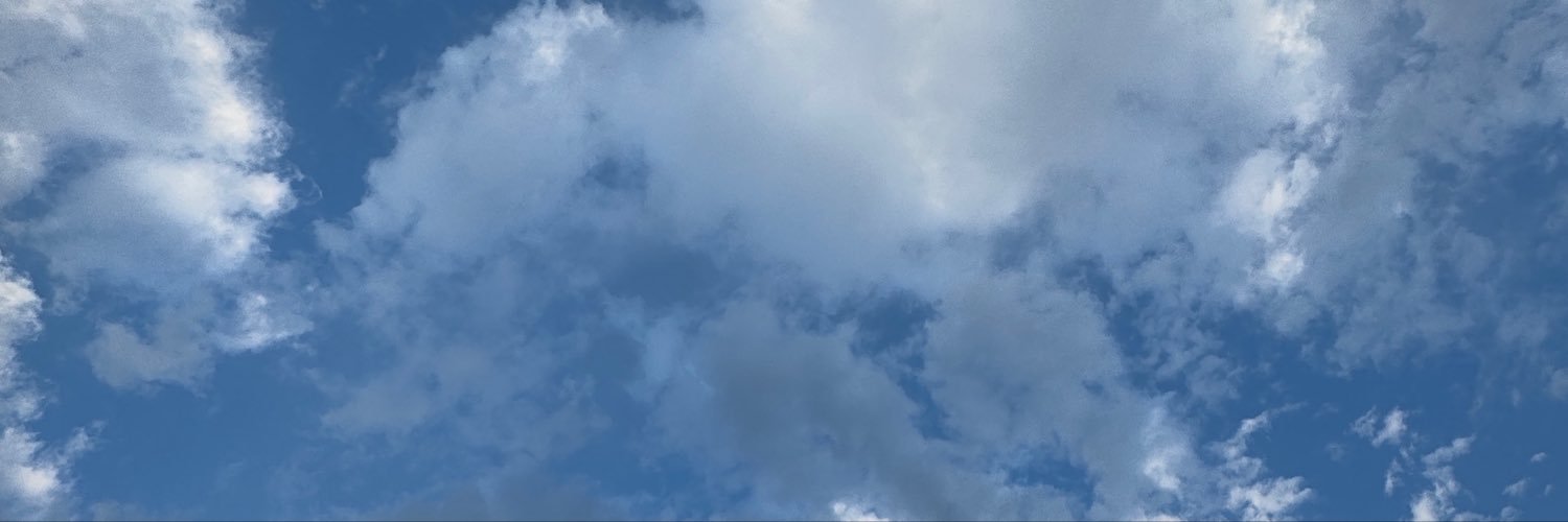 pineforfu_pine's profile banner image