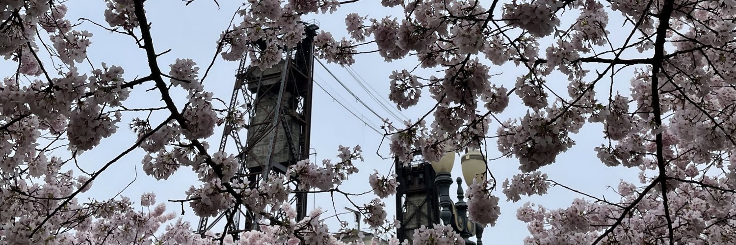 MeredithScott94's profile banner image