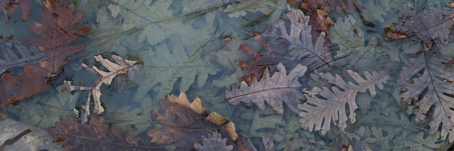 gsamek's profile banner image