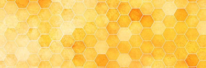 Worker Bee hexa banner
