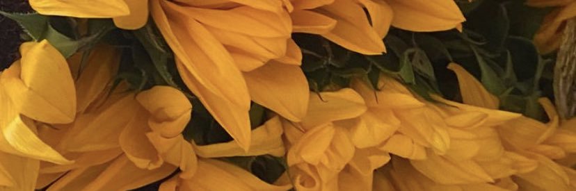 awsbritney's profile banner image