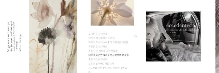 Liliet banner