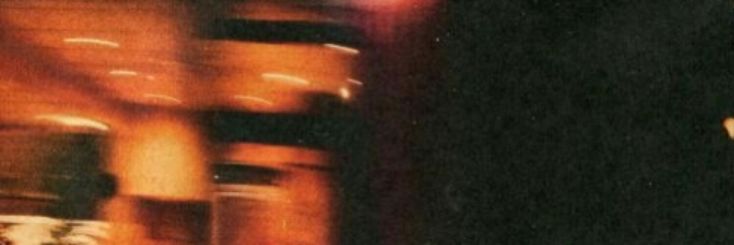 ✦⋆⮛⮛𝓣𝑯𝑬 𝕲𝐈𝐍𝐆𝐄𝐑 𝓢𝑻𝑨𝑳𝑳𝑰𝑶𝑵⌁ banner