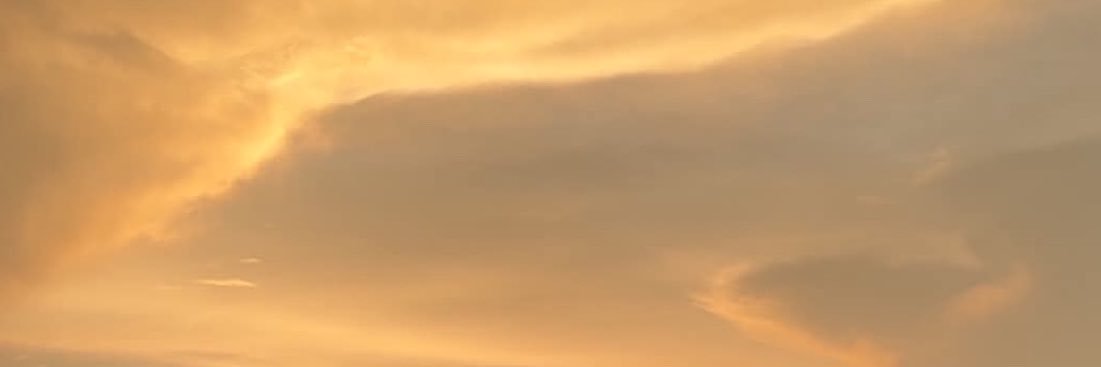 Loqbos's profile banner image