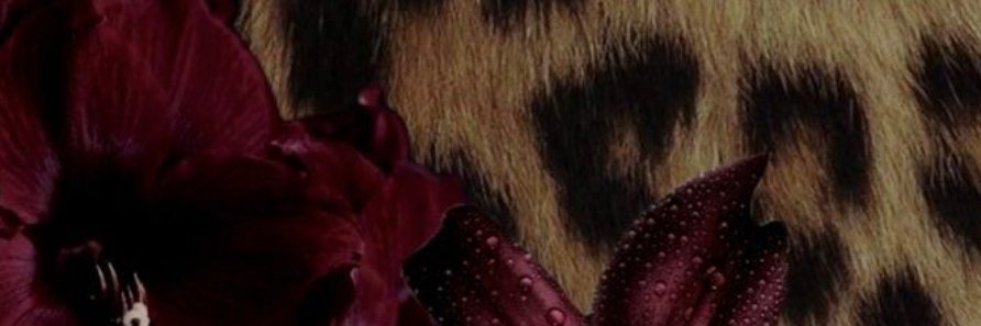 Iris982Silk's profile banner image