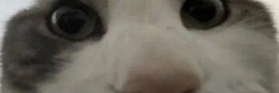 Curious banner