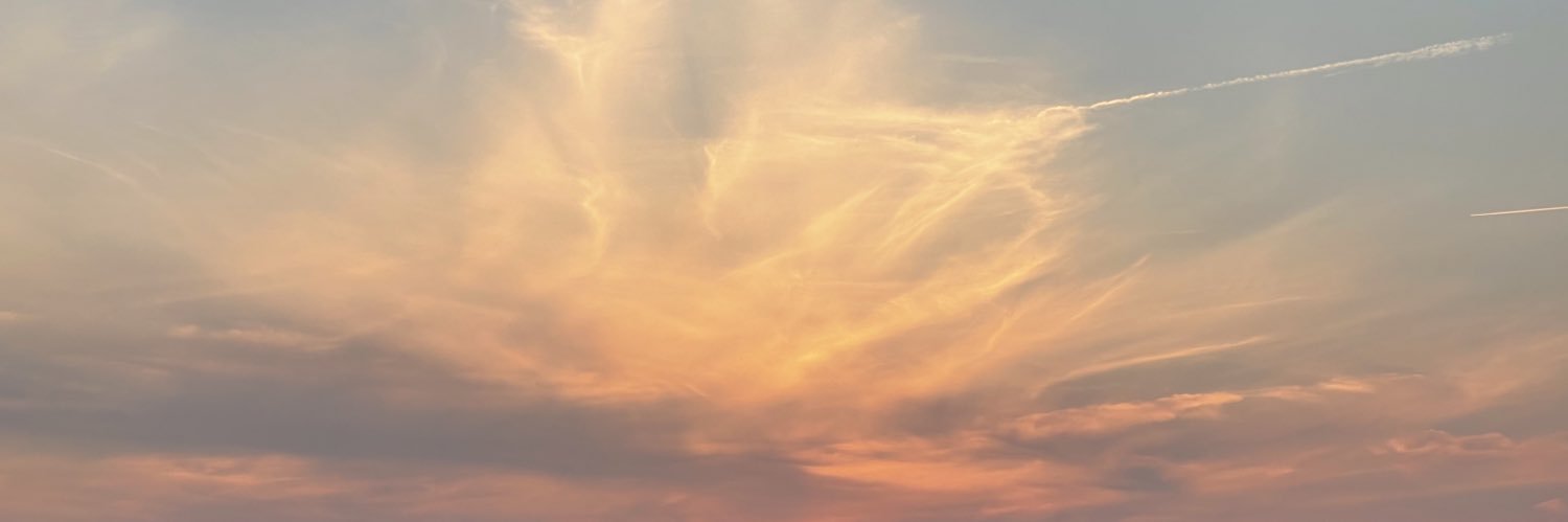 numemo9's profile banner image