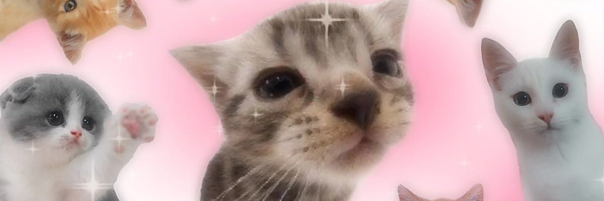 rinnie ✮ banner