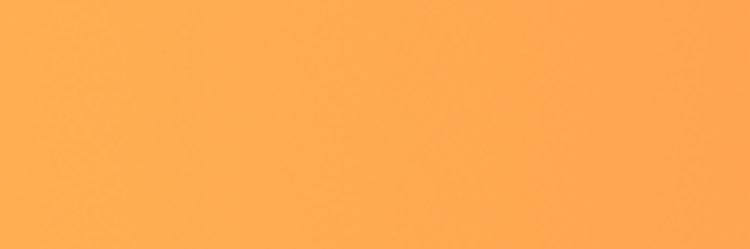 犬乃うどん🐕🤍 banner