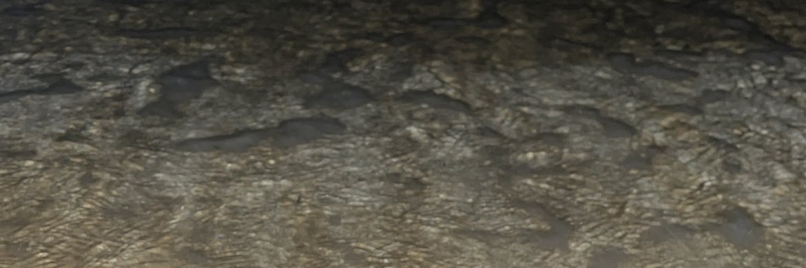 Ali_0ny's profile banner image