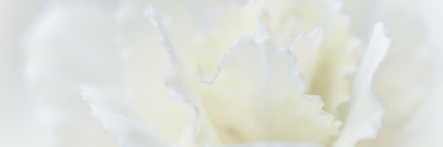さえ🧸のさぶ banner