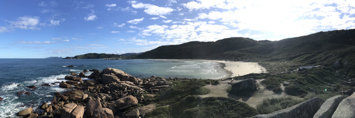 🇵🇸Kitsune soviética banner