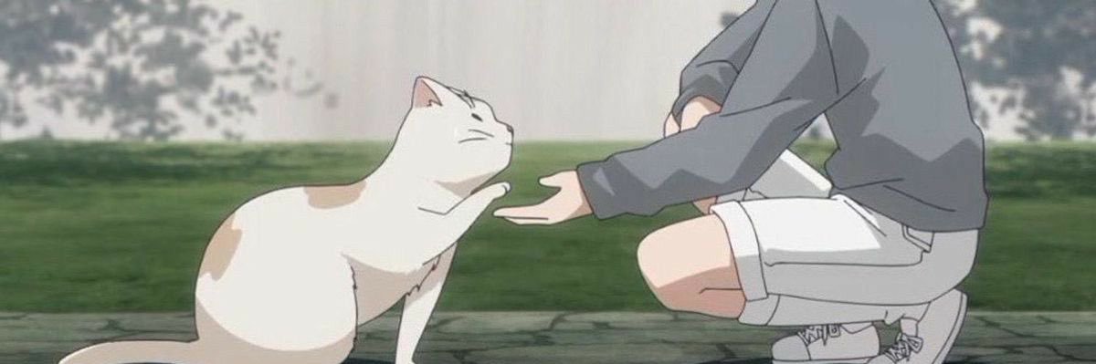 Meme🎀🤍 banner