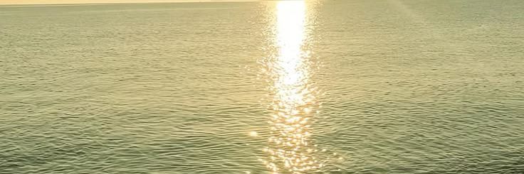 sie banner