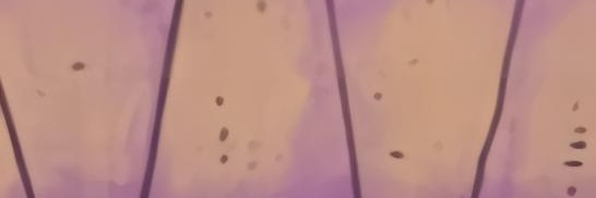 Zero banner