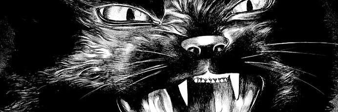itsylimemd's profile banner image