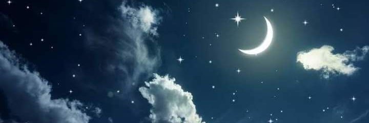 Z1133419's profile banner image