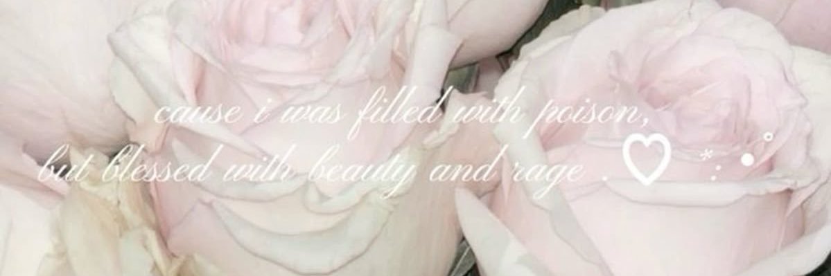 ari banner