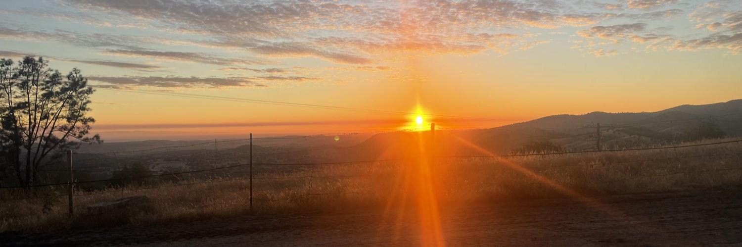 oddmitchbrown's profile banner image