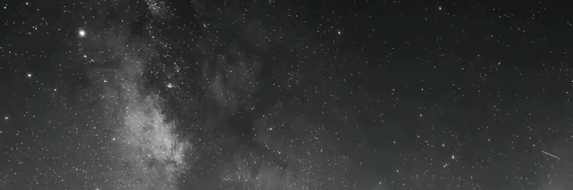 楠宝招财 banner