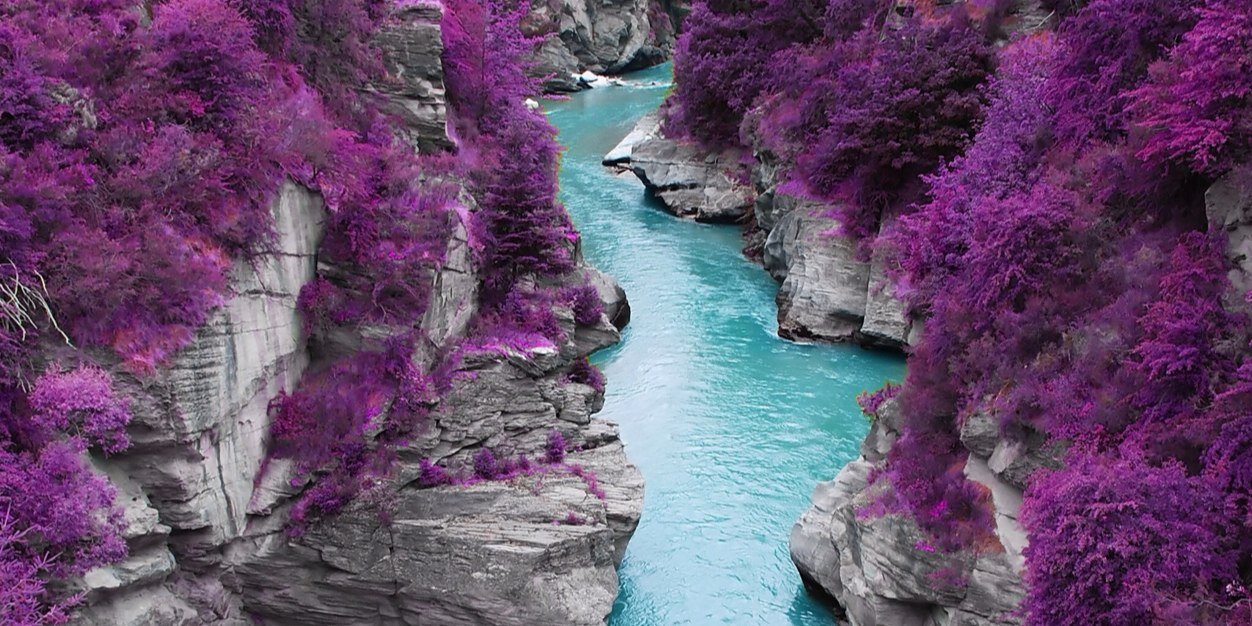 rhett molitor banner