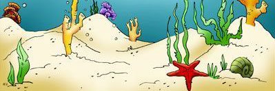 HowlingStarfish banner