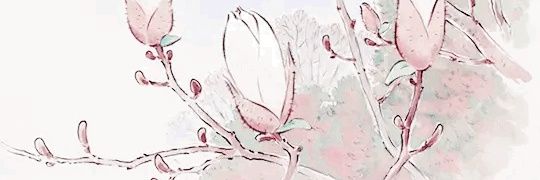 ִֶָ. Nova ..𓂃 ࣪ ִֶָ🪽 banner