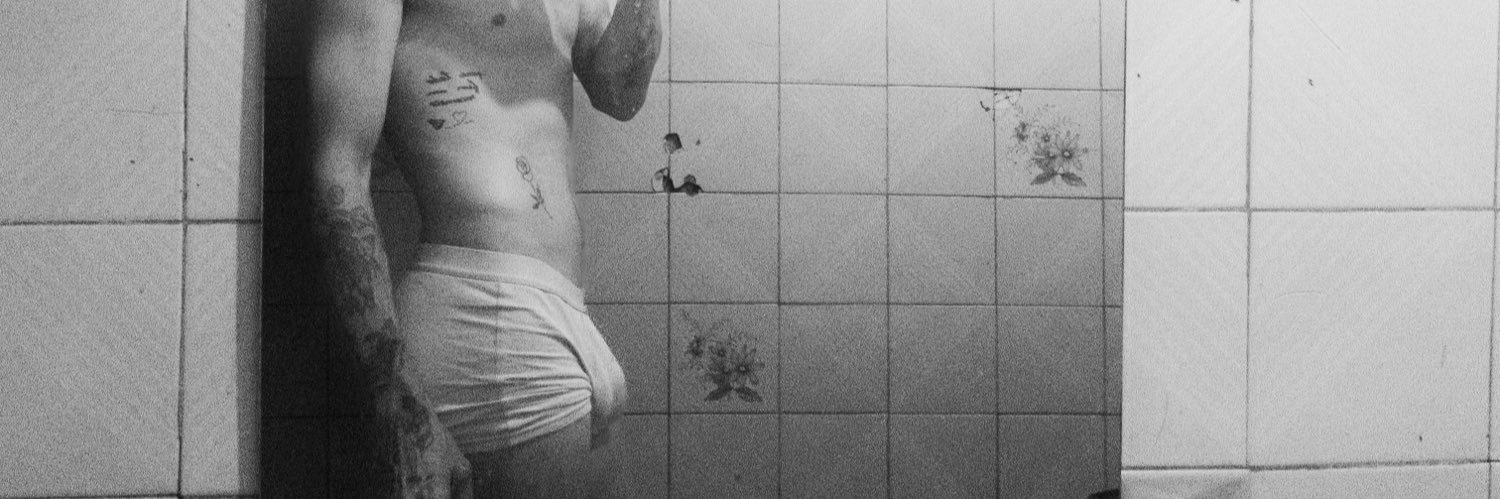 _Schmidt banner