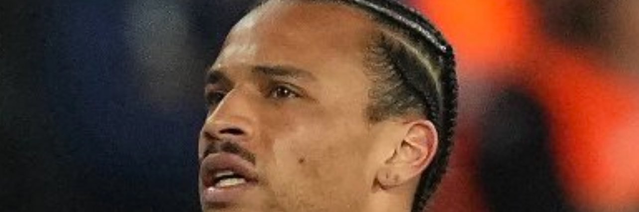 sane banner