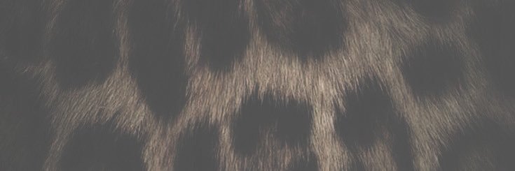 𝗉𝗈𝗋 𝑚𝑜𝑟𝑡𝑒 ─ 𝗄𝖺𝗍𝗁𝖾𝗋𝗂𝗇𝖾. banner