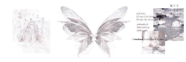 aria ✿ banner