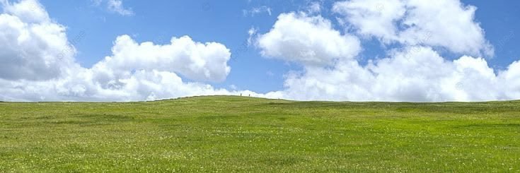 油淋鶏 banner