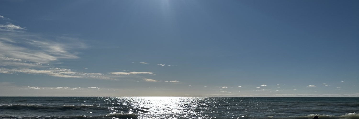 V banner
