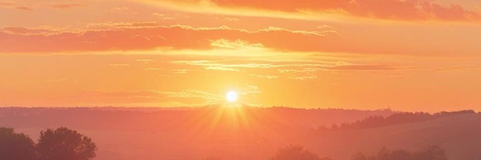 ☀️𝖨𝗅𝗅𝖺𝗋𝗂 𝖰𝗎𝗂𝗌𝗉𝖾 𝖱𝗎𝗂𝗓☀️ banner