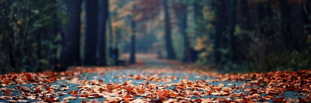 yuryochoa's profile banner image