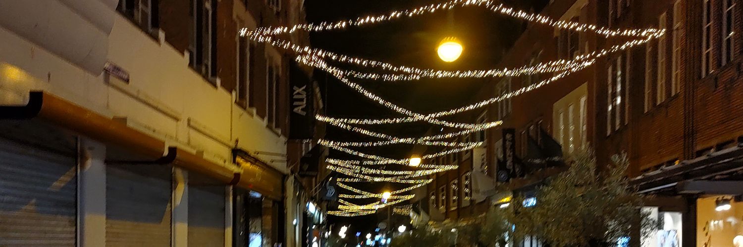 sergehoes's profile banner image