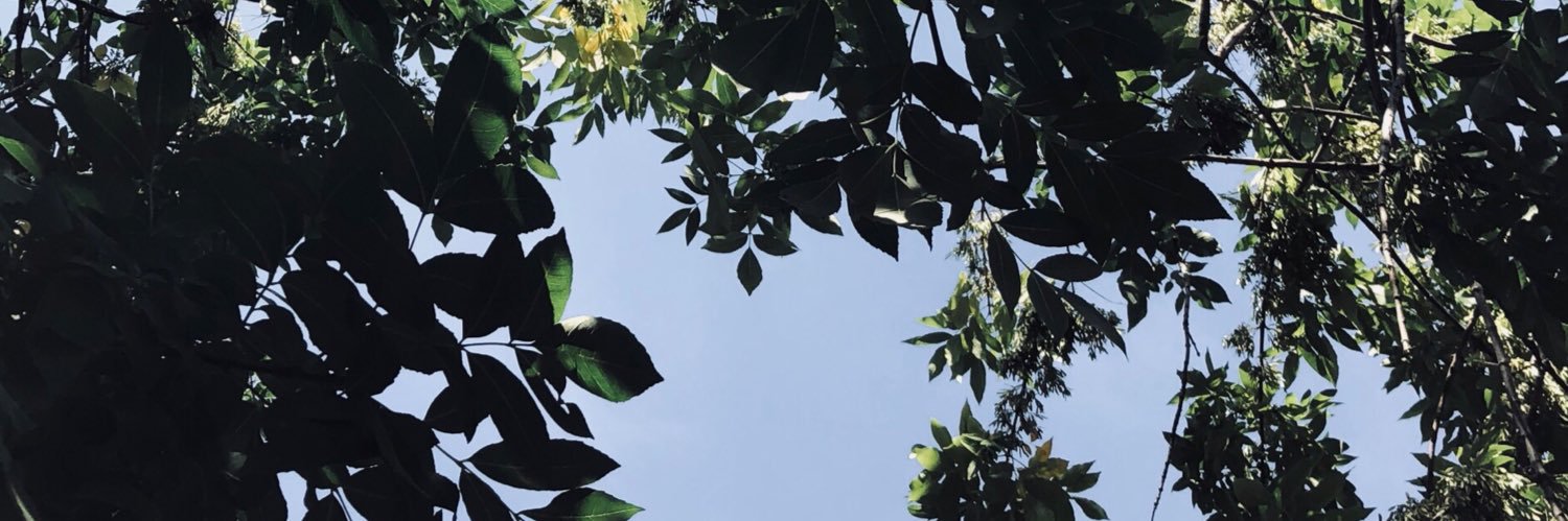 ayusantamaria's profile banner image