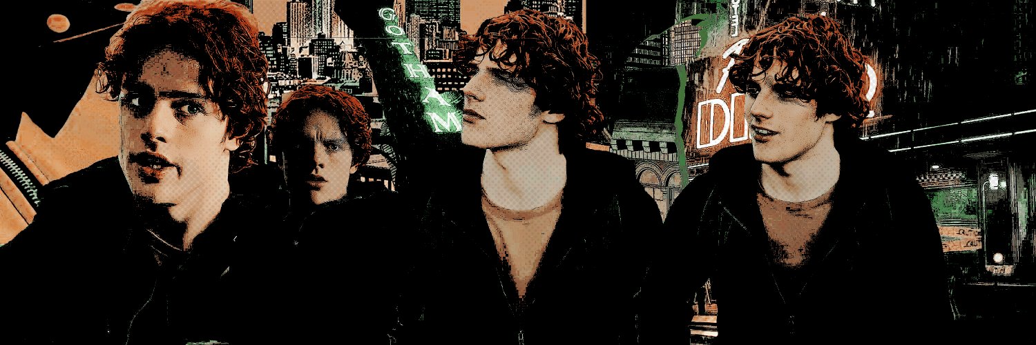 twinnedbat's profile banner image