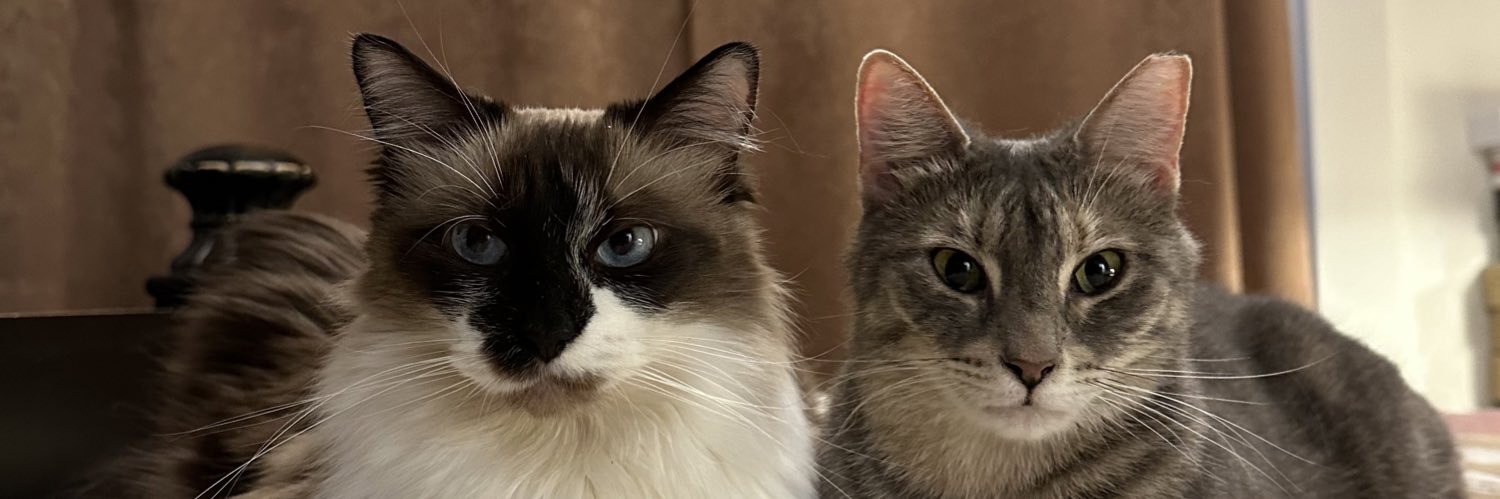 Snowshoegazer banner