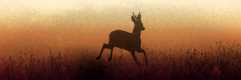 ‎ ‎ ‎ ‎ ‎ 𝚍𝚎𝚌𝚎𝚖𝚋𝚎𝚛 ´ཀ` banner