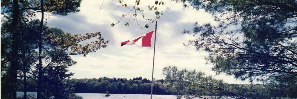 Tony Orr banner