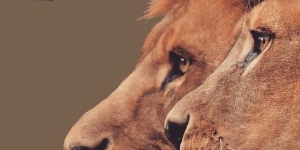 carlyg84's profile banner image