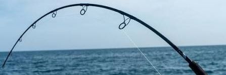 BaitandReel banner