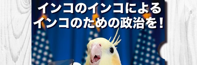 okamequartet's profile banner image