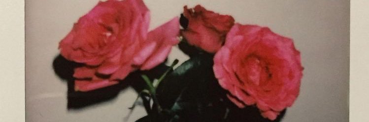 annisanuno's profile banner image