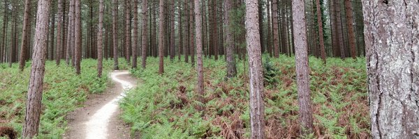 AdaTheDev Profile Banner